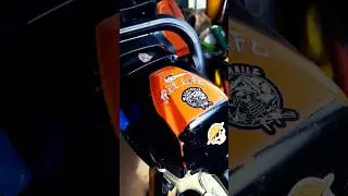 😳Passed The GUIDELINE? #Cheap #Smart #Dumb #Stupid #Pointless #Chainsaws #TreeLife #Treework #Shorts