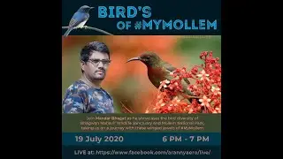 Bird of My Mollem | Mandar Bhagat | #mymollem