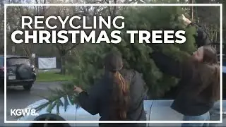 Forest Grove FFA holds tree recycling event