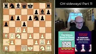 Silicon Road: Chess Variants: pawnsideways chess! Fish Fight Part 1!