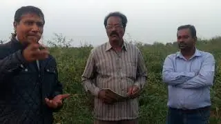 Organic Farming KCM Organic products benefits