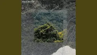 took me way too long