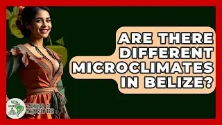 Are There Different Microclimates In Belize? - History Of Latin Cultures