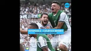 Botafogo venci&oacute; 3-1 a Atl&eacute;tico Mineiro y se consagr&oacute; campe&oacute;n de la Copa Libertadores #SHORTRPP