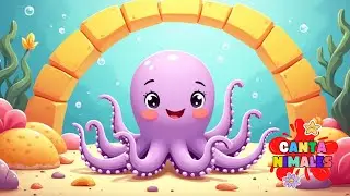 🐾 Amigos del mar &ndash; M&uacute;sica infantil para cantar y aprender