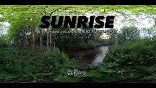 Sunrise on the Big Flatbrook River in Virtual Reality