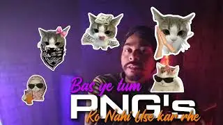 CAT PNG | Typography reel png | Viral PNG