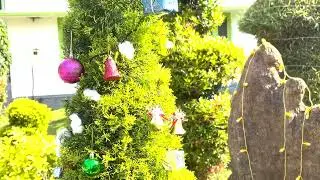 Happy Christmas & New year ,Bodhini the School of Christian Meditation .