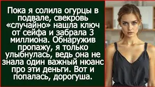 Пока я солила огурцы в подвале, свекровь «случайно» нашла ключ от сейфа и забрала 3 миллиона.