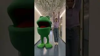 G&uuml;nter Kastenfrosch tanzt mit Laura zu Surf Curse - Disco! | Tigerenten Club #shorts