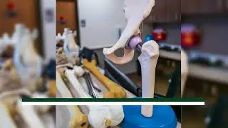 Palo Pinto Orthopaedic  Sports Medicine hd