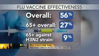 Flu vaccine not a cure-all for the elderly