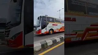 Rela Renata ngebut hp jdi masuk angin#busmania #basuri #fypシ #fyp
