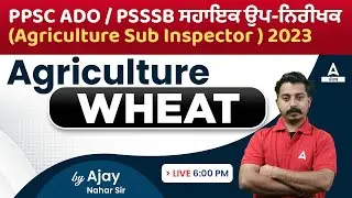 PPSC ADO, PSSSB Agriculture Sub Inspector 2023 | Agriculture | Wheat