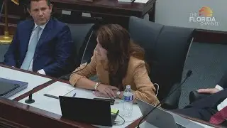 Fleming Island Senator calls public comments defending bill protecting historic monuments 'vile'