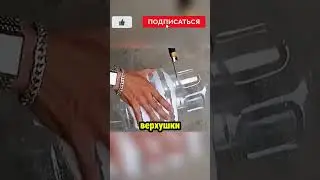 Мужчина вырастил лук в бутылке