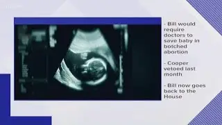NC Senate overrides Governor Cooper's veto of an abortion bill