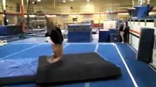 Standing 540 Dive Roll