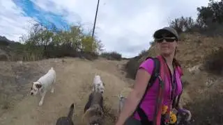 Pack Hikes with Pet Peeves