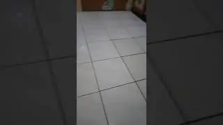 F A Q I H punya mainan baru ROBOT MOB