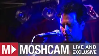 Youth Group - What Is A Life (Track 1 of 16) | Moshcam