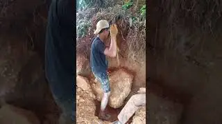 Pengambilan emas di lobang #viralvideo #Cari emas