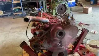 International D358 Good Runner