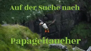 Auf der Suche nach Papageientaucher u Co. Norwegen Insel Runde