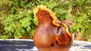 Exquisite Rustic Wooden Bowl for Nuts and Chocolates | Meticulously Handcrafted from Juniper Wood