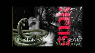 MC STAN SNAKE TYPE BEAT - Kansen | prod. Panku'