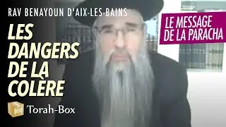 Le message de la Paracha : Vayichla'h - Les dangers de la colère (Rav Benayoun d'Aix-Les-Bains)