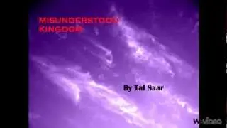 Misunderstood Kingdom - Tal Saar