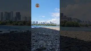 SAINT LAWRENCE RIVER IN MONTREAL #montreal #riverside #summer2025 #views #highlights #summertime