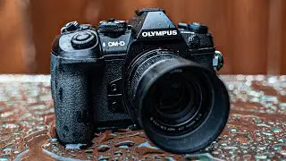 How To Get Perfect Colors For Olympus Cameras