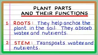 Plant parts and their Function