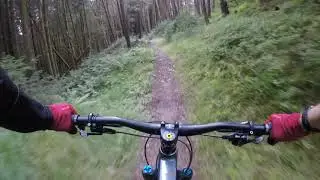 Afan Forest - Whites Level Loop - The Best Bits!