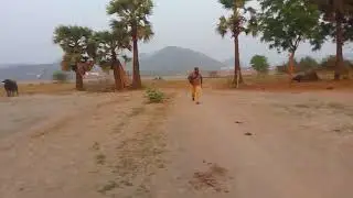 VID 20180323 173228