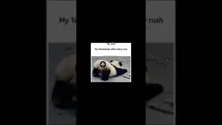 TRUE or NOT IN CALL OF DUTY MOBILE #shorts #codm #codmhindi