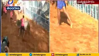 Traditional Bull Taming Sport | Jallikattu Begins  | in Madurai
