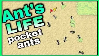 A Bug's Life? - Pocket Ants: Colony Simulator │Mobile Game