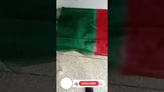 how to design dupatta/colourful dupatta design ppp/shah g dayar master#design #subscribe #colors