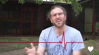 Ending RHD in Australia - Take Heart