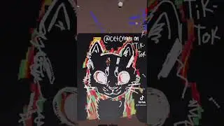 multicolor cat