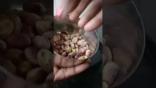 मैंने Meesho से मंगवाया है dry fruit Cutter #sunitaskitchen #meeshohaul #meeshoshopping #viral