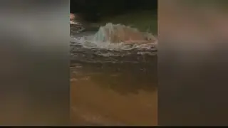Heavy rainfall causes flash flooding in St. Louis area, 1 dead