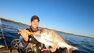 Snapper off woolgoolga headland