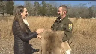 Feeding wildlife does more harm than good