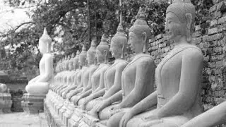 7) Abandoning by Developing | Passionate about Dispassion ... Right Now (MN 2) with Ajahn Kovilo