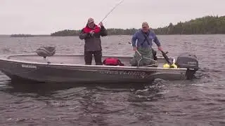 World Class Walleye- new season peek