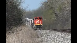 5 locomotives from 4 different railroads all on one train, features CN, BNSF, UP, NS.